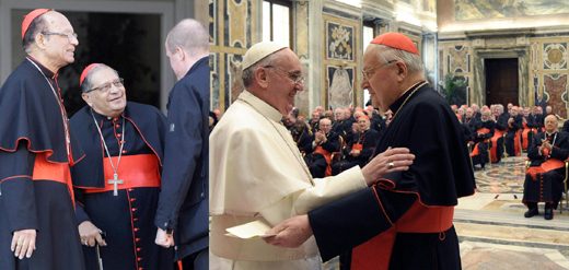 VATICAN_Cardinal commission